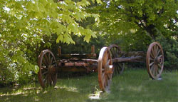 Our old wagon beneath the trees.
